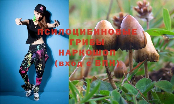 бошки Верея