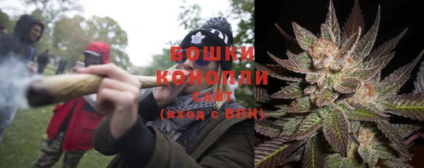 гидропоника Володарск
