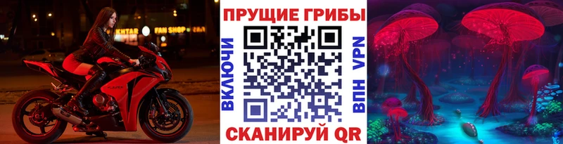 omg зеркало  Духовщина  Галлюциногенные грибы мицелий 