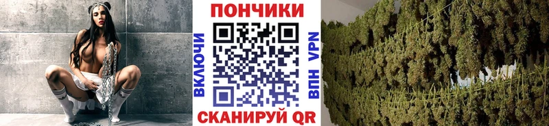 Шишки марихуана OG Kush  Духовщина 